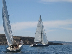 la solitaire 134